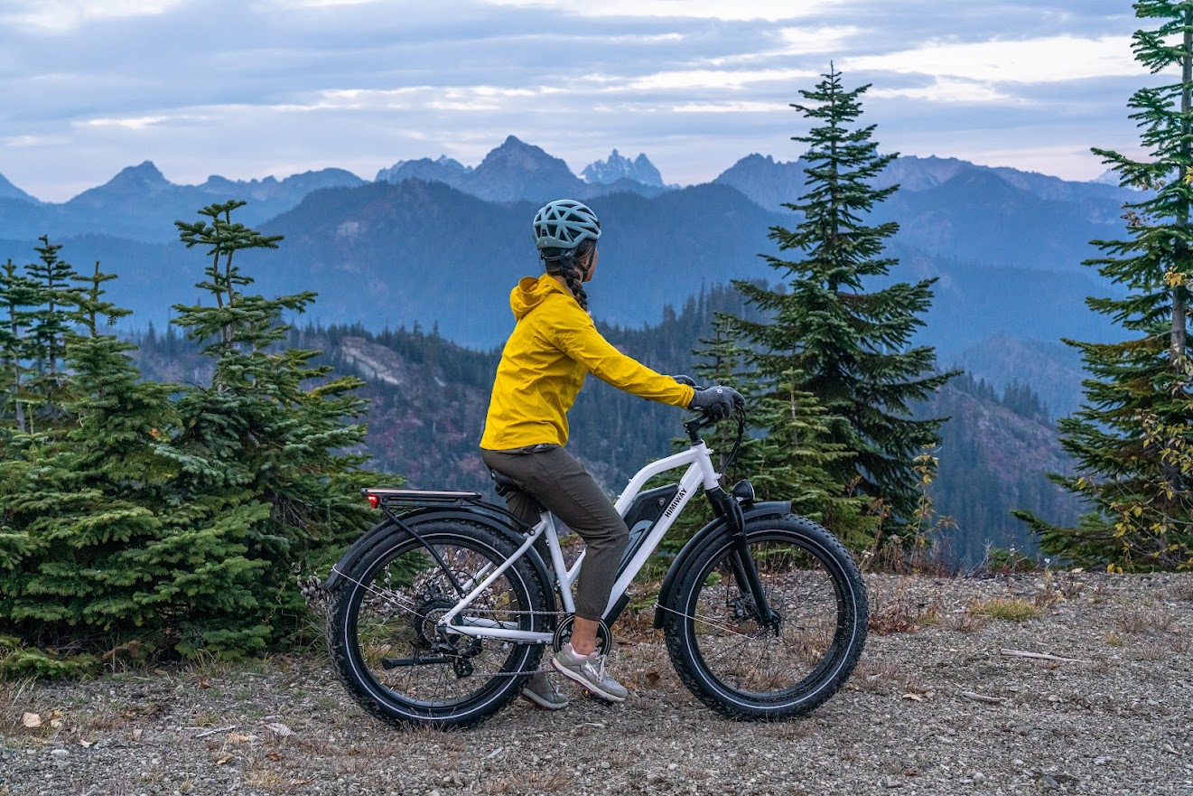 cruiser stepthru 03 2